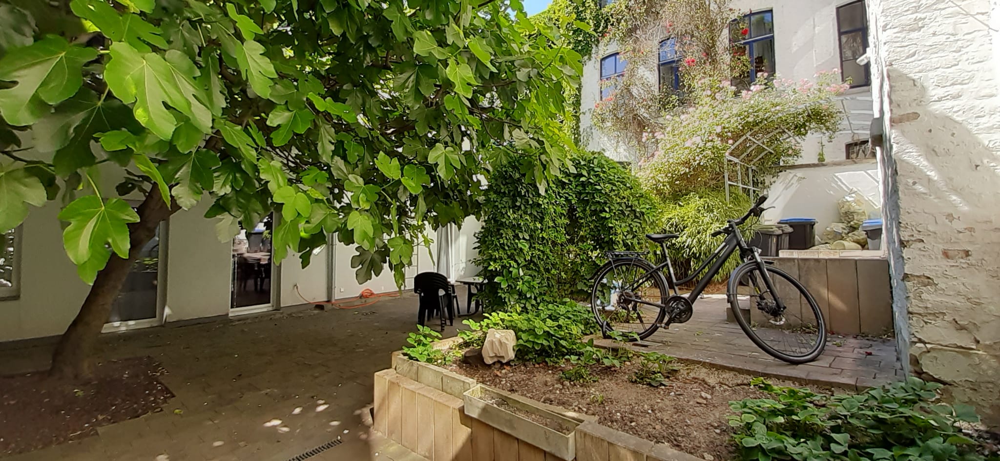 Symbolbild Menschen und Raum: Ein Blick in den Hinterhofgarten der Praxisräume von Dr. Claus Michael Wolf. Im Frühling erstrahlt der Garten in vielfältigen Farben durch blühende Pflanzen und Stauden. Die Sonne scheint und schafft eine warme, einladende Atmosphäre, die den Raum für Ruhe und Entspannung unterstreicht.